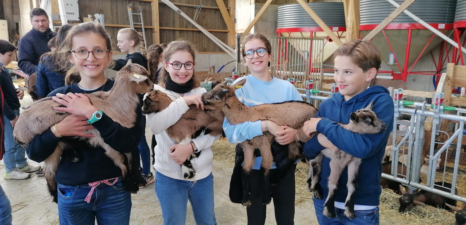 Les Sixièmes à la ferme