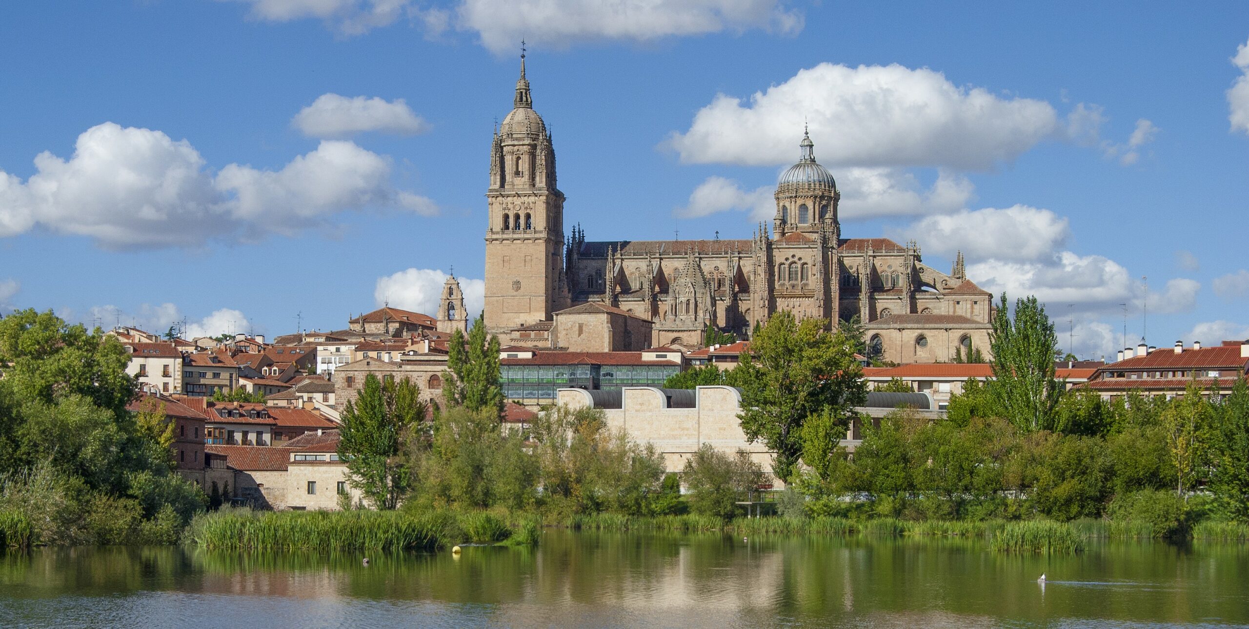 ¡ A nosotros Salamanca !
